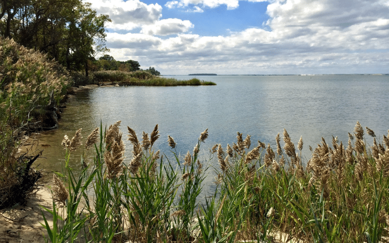 Quiet Waters Park