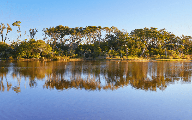 Talbot Island State Parks
