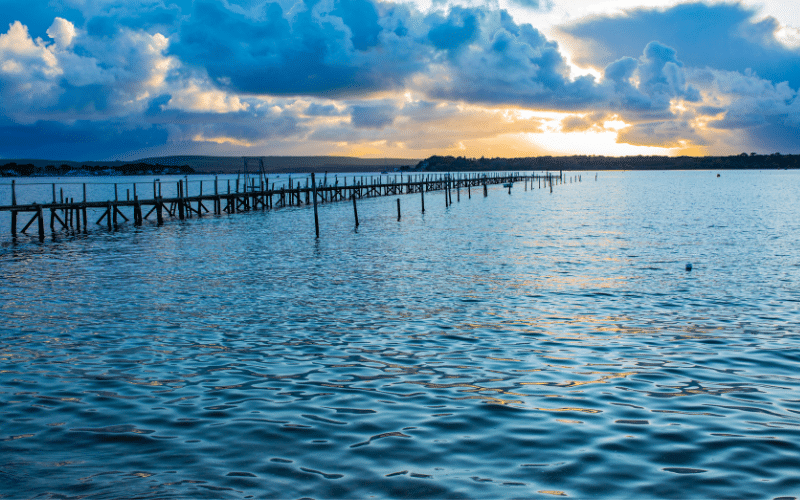 Best Places to Paddle Board in Dorset, UK