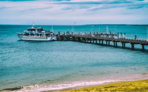 6 Best Places to Paddle Board in Phillip Island, AUS