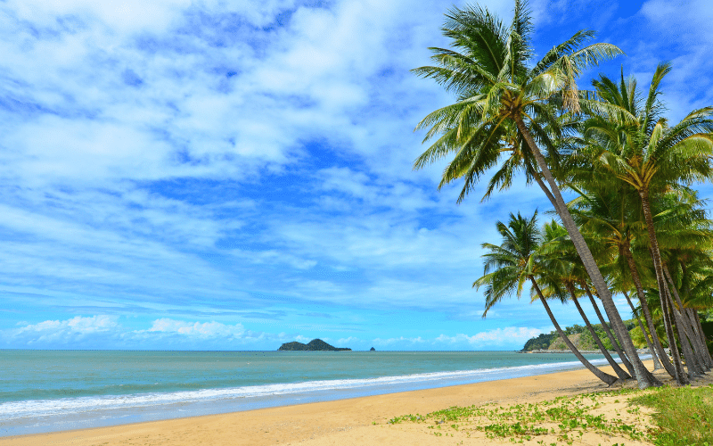 Ellis Beach