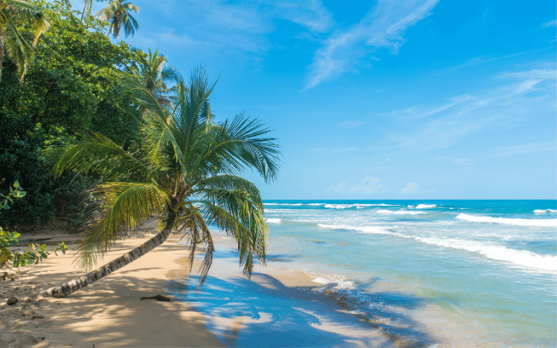Puerto Viejo
