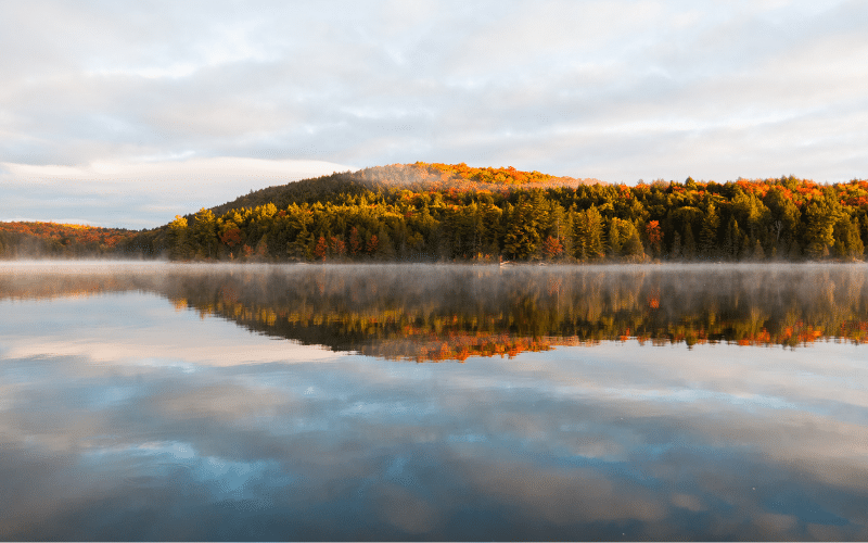 Algonquin Provincial Park, Ontario