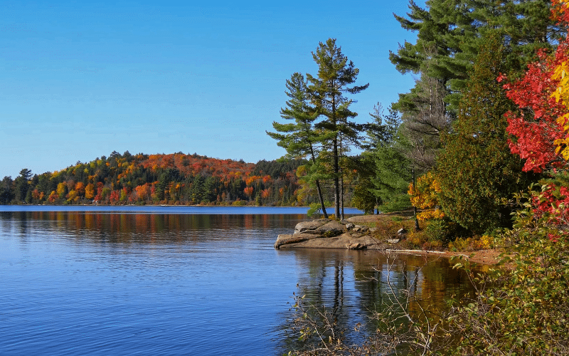 Algonquin Provincial Park