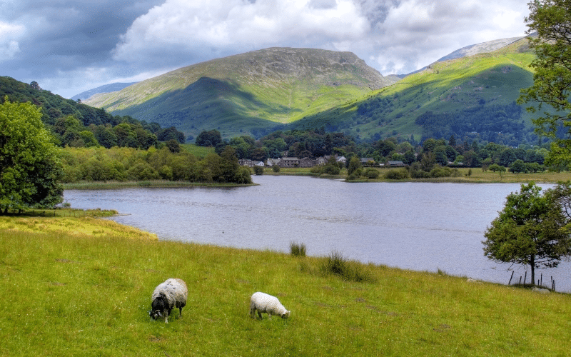 Grasmere