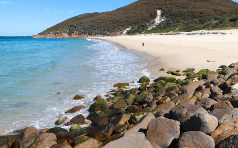 Best Places to Paddle Board in Nelson Bay, AUS