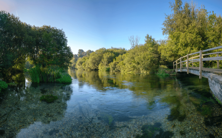 Best Places to Paddle Board in Winchester, UK