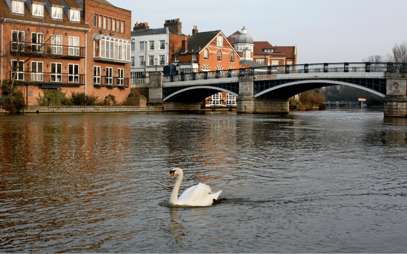 Best Places to Paddle Board in Windsor, UK