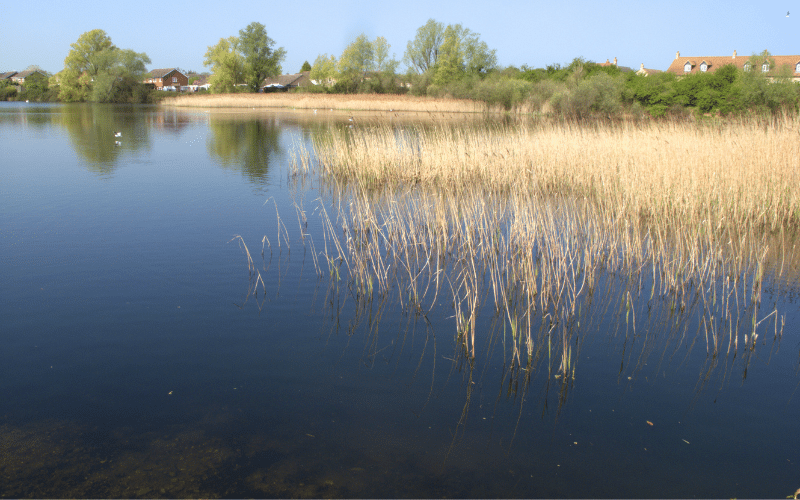 Paxton Pits Nature Reserve