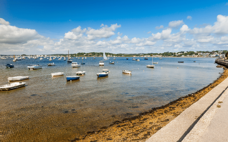 Poole Harbour