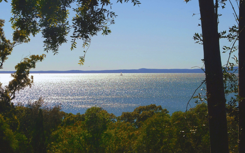 Best Places to Paddle Board in Raby Bay, AUS