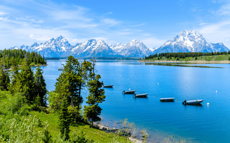 Jackson Lake