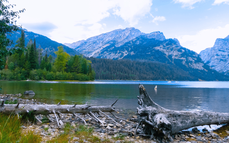 Phelps Lake