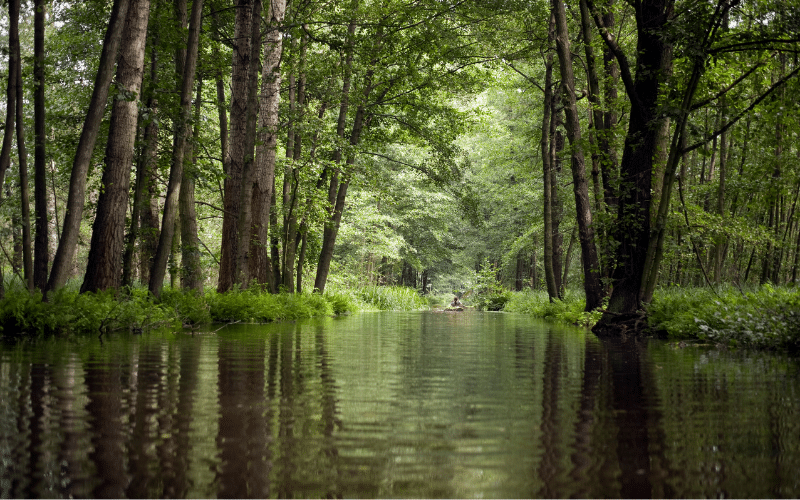 Spreewald Germany