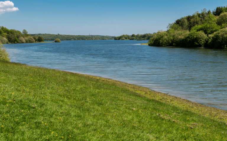 Best Places to Paddle Board in Bewl Water, UK