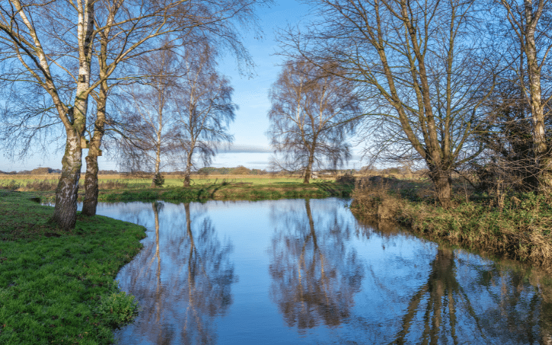 Pocklington Canal