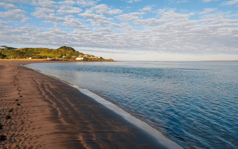 Raglan Harbor