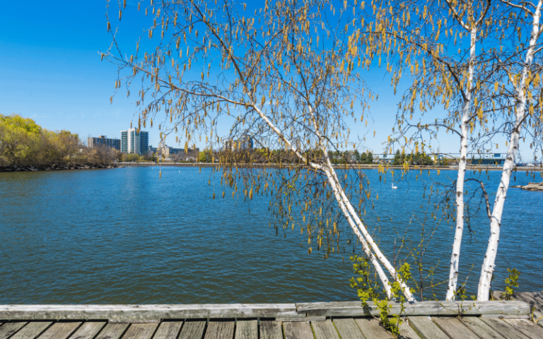 Best Places to Paddle Board in Mississauga, CAN