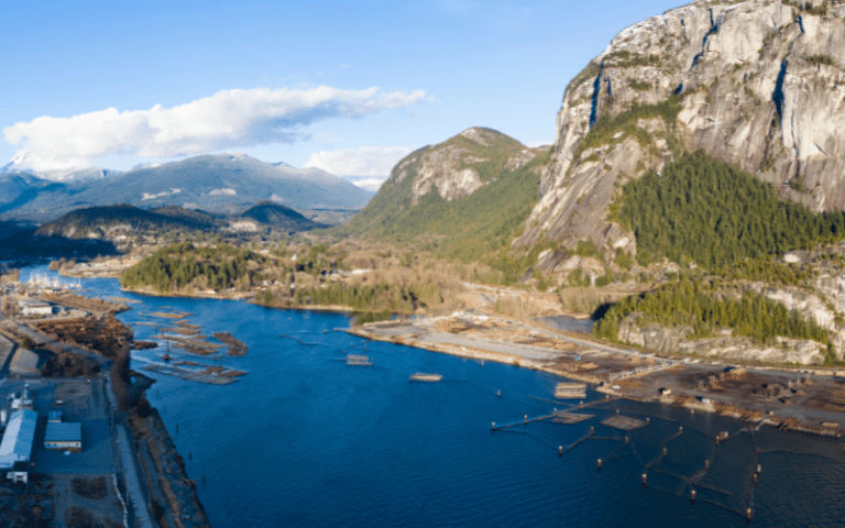 Best Places to Paddle Board in Squamish, CAN