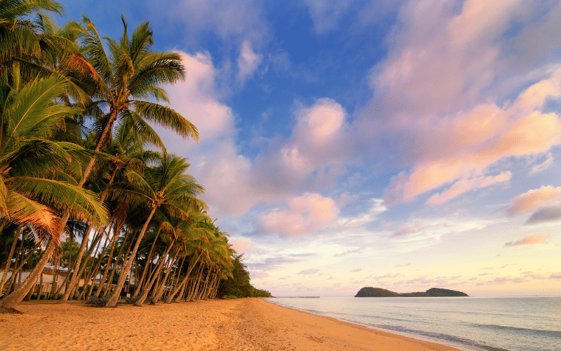 Palm Cove Beach