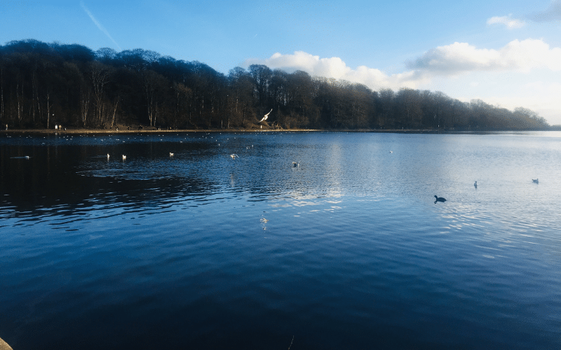 Best Places to Paddle Board in Leeds, UK