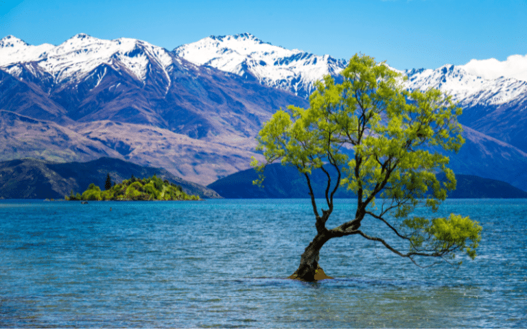 Best Places to Paddle Board in New Zealand
