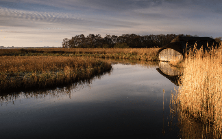Best Places to Paddle Board in Norfolk, UK