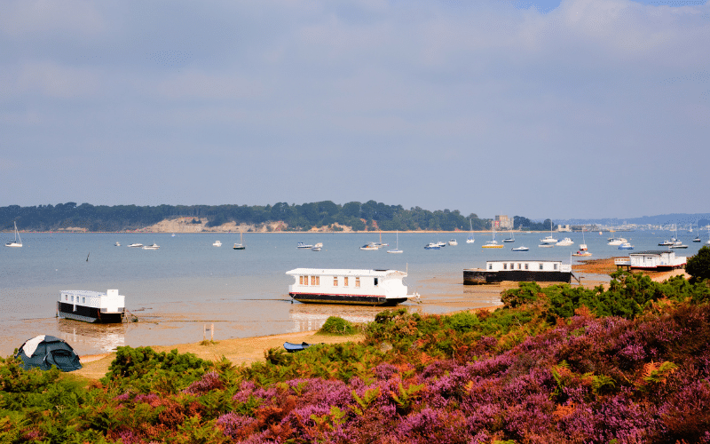 Best Places to Paddle Board in Poole, UK