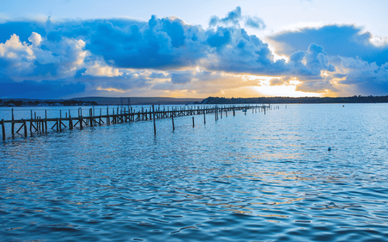 Poole Harbour