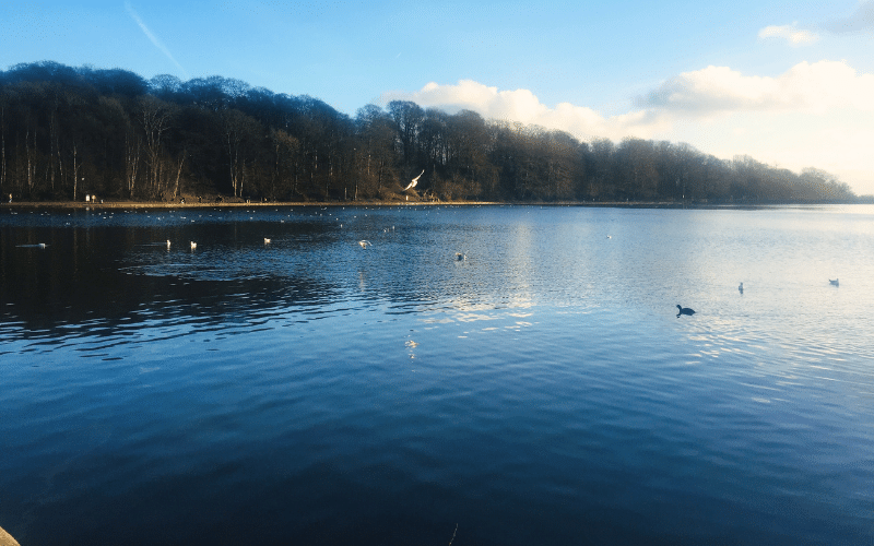 Roundhay Park Lake