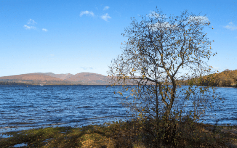 Balloch Castle Country Park, Loch Lomond