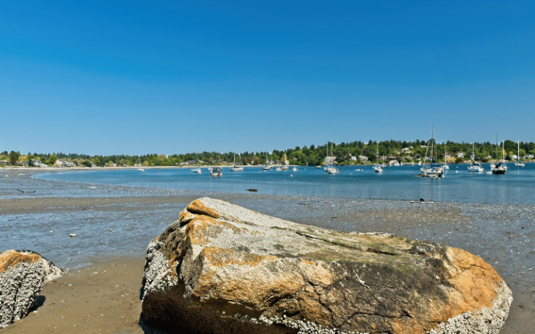 Best Places to Paddle Board in Victoria, CAN