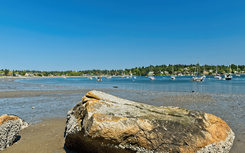 Best Places to Paddle Board in Victoria, CAN