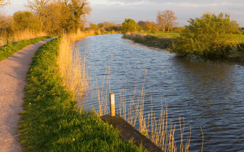 Bridgwater & Taunton Canal