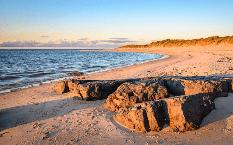 Budle Bay