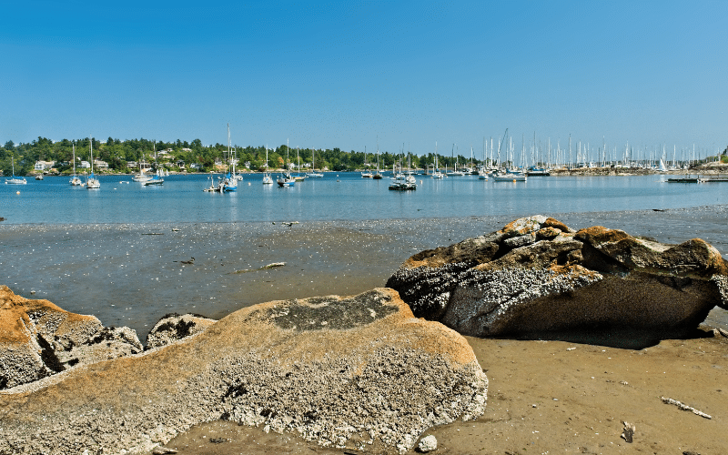 Cadboro Bay