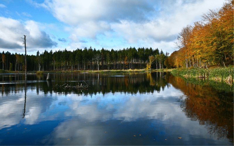 Furesø Lake