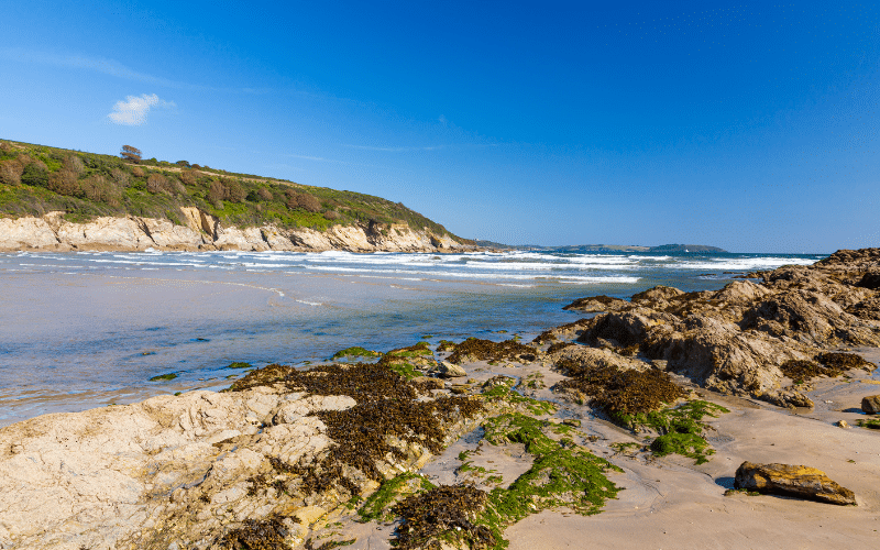 Maenporth Beach