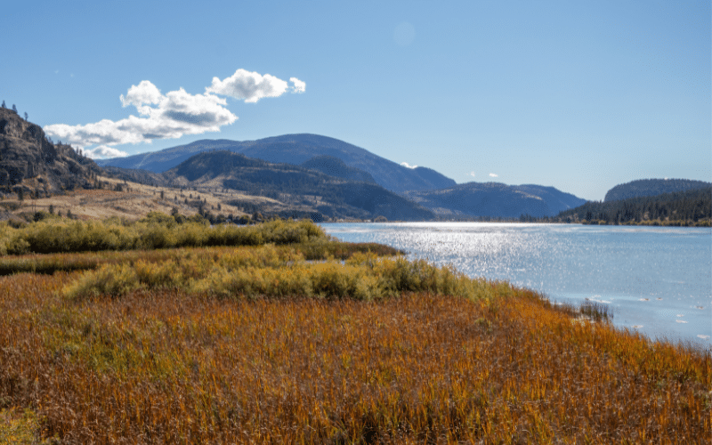 Vaseux Lake