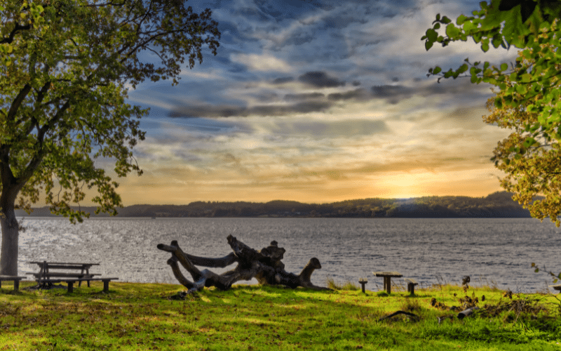 Vejle Fjord
